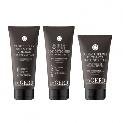 Moltebeeren-Weihnachtsspecial