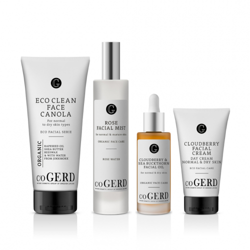 Routine für normale/leicht trockene Haut