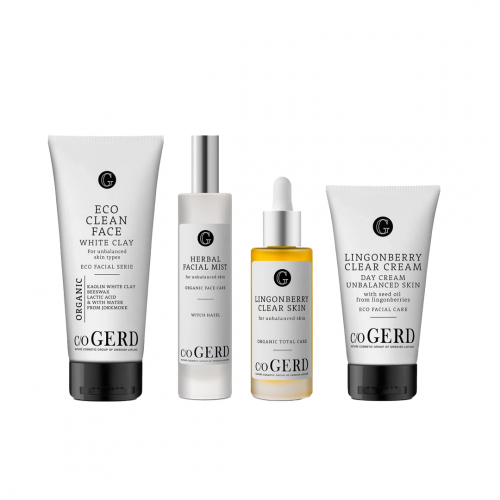 Routine für unausgeglichene/Akne-Haut